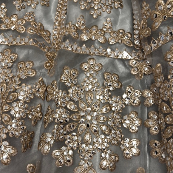 Elegant Lehenga with Gold Embellishments - Picture 5 of 6